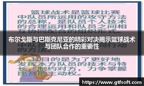 熊猫体育官网
